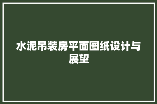 水泥吊装房平面图纸设计与展望