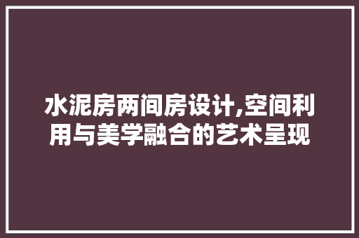 水泥房两间房设计,空间利用与美学融合的艺术呈现