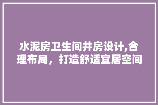 水泥房卫生间井房设计,合理布局，打造舒适宜居空间