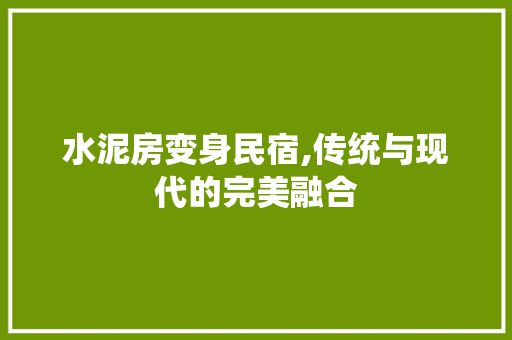 水泥房变身民宿,传统与现代的完美融合
