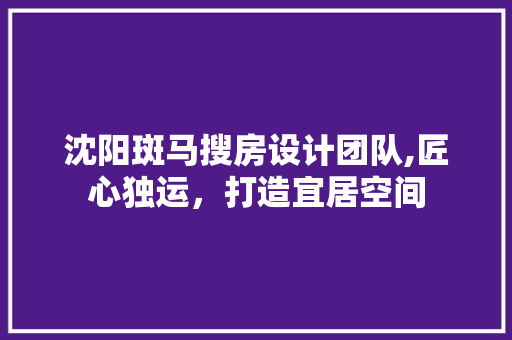沈阳斑马搜房设计团队,匠心独运，打造宜居空间