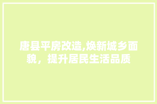 唐县平房改造,焕新城乡面貌，提升居民生活品质