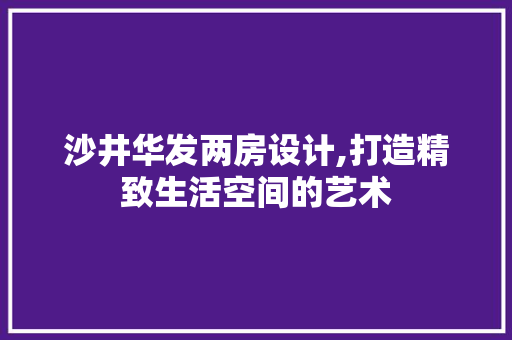 沙井华发两房设计,打造精致生活空间的艺术