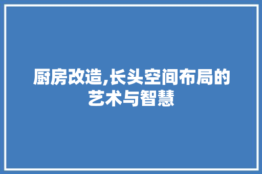 厨房改造,长头空间布局的艺术与智慧