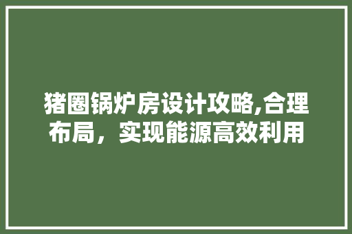猪圈锅炉房设计攻略,合理布局，实现能源高效利用