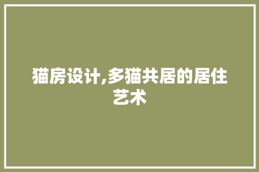 猫房设计,多猫共居的居住艺术