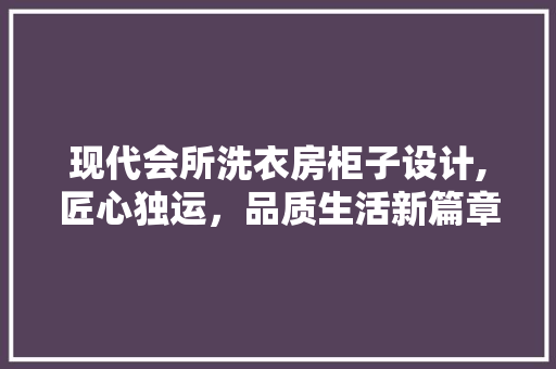 现代会所洗衣房柜子设计,匠心独运，品质生活新篇章