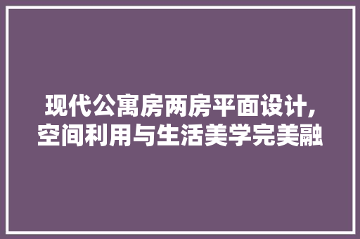 现代公寓房两房平面设计,空间利用与生活美学完美融合