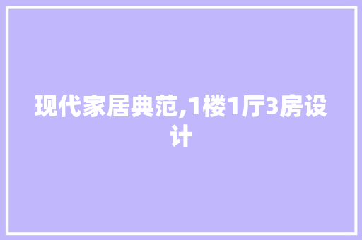 现代家居典范,1楼1厅3房设计