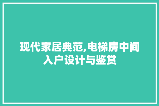 现代家居典范,电梯房中间入户设计与鉴赏