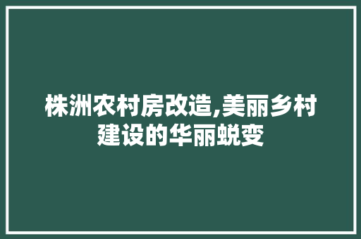株洲农村房改造,美丽乡村建设的华丽蜕变