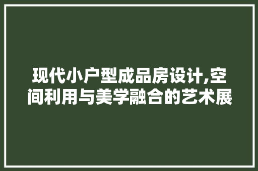 现代小户型成品房设计,空间利用与美学融合的艺术展现