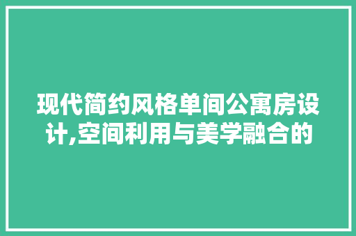 现代简约风格单间公寓房设计,空间利用与美学融合的艺术