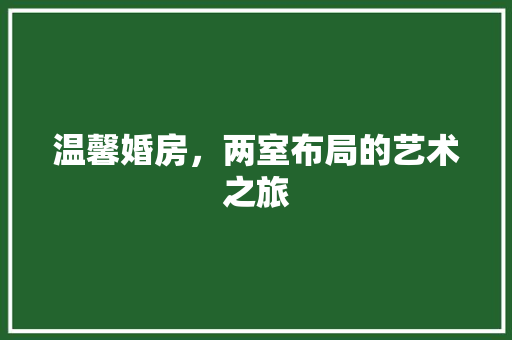 温馨婚房，两室布局的艺术之旅