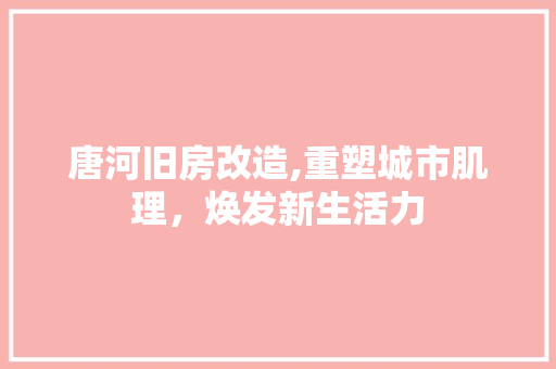 唐河旧房改造,重塑城市肌理，焕发新生活力