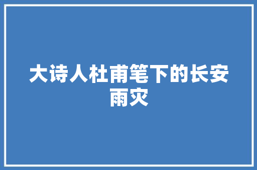 温馨居家，3米衣柜老人房设计指南