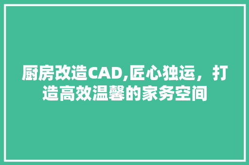 厨房改造CAD,匠心独运，打造高效温馨的家务空间