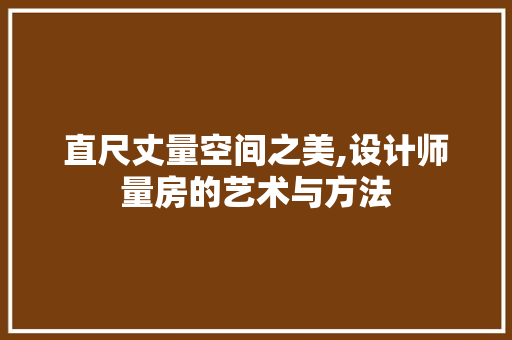 直尺丈量空间之美,设计师量房的艺术与方法