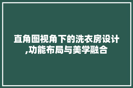 直角图视角下的洗衣房设计,功能布局与美学融合