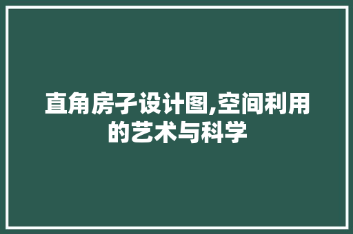 直角房孑设计图,空间利用的艺术与科学