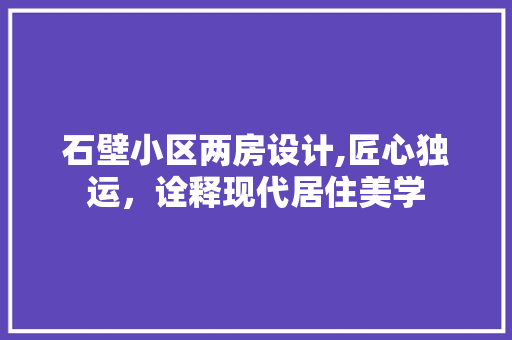 石壁小区两房设计,匠心独运，诠释现代居住美学
