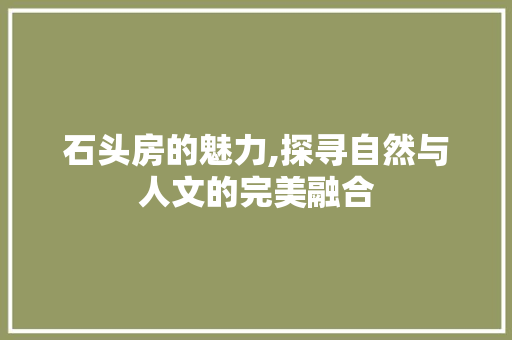 石头房的魅力,探寻自然与人文的完美融合