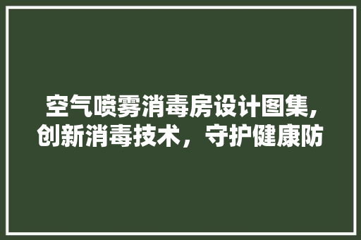 空气喷雾消毒房设计图集,创新消毒技术，守护健康防线