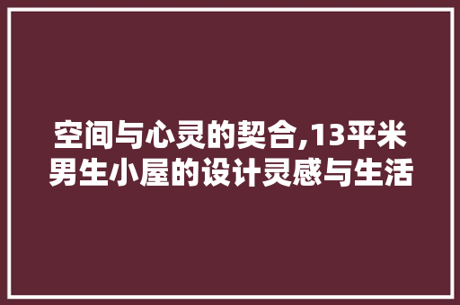空间与心灵的契合,13平米男生小屋的设计灵感与生活美学