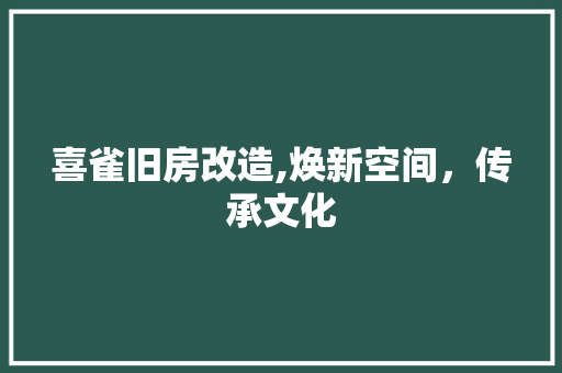 喜雀旧房改造,焕新空间，传承文化