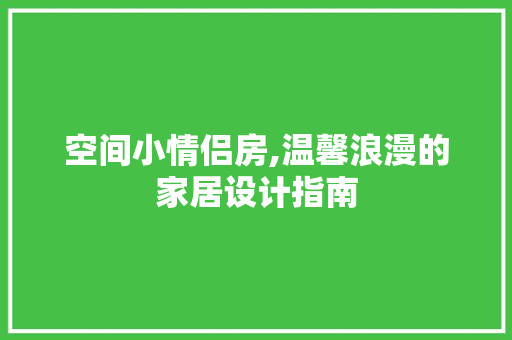 空间小情侣房,温馨浪漫的家居设计指南