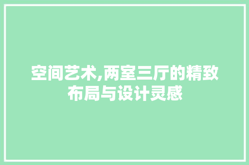 空间艺术,两室三厅的精致布局与设计灵感