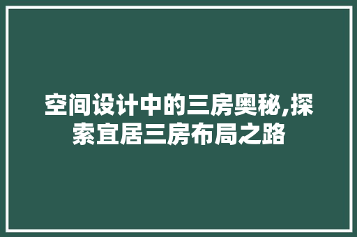 空间设计中的三房奥秘,探索宜居三房布局之路