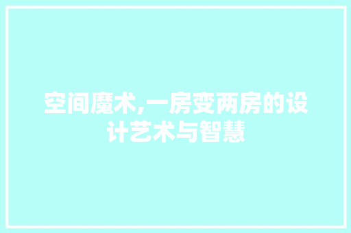 空间魔术,一房变两房的设计艺术与智慧
