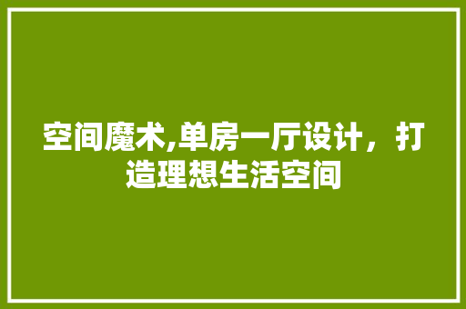 空间魔术,单房一厅设计，打造理想生活空间