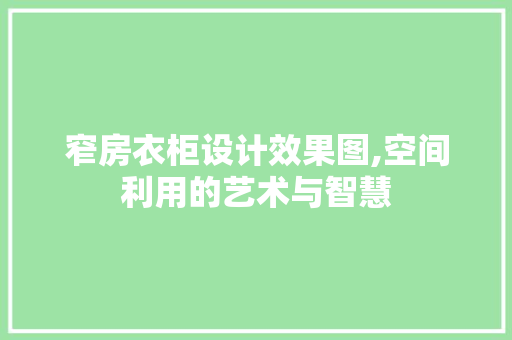 窄房衣柜设计效果图,空间利用的艺术与智慧