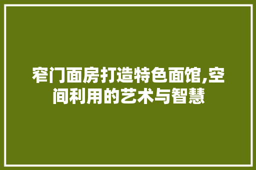 窄门面房打造特色面馆,空间利用的艺术与智慧