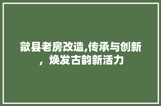 歙县老房改造,传承与创新，焕发古韵新活力
