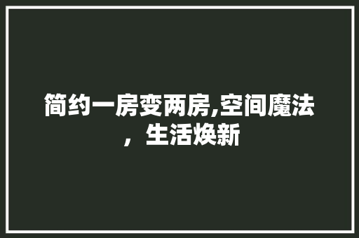简约一房变两房,空间魔法，生活焕新