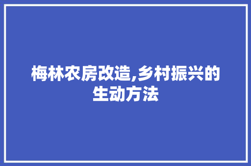 梅林农房改造,乡村振兴的生动方法