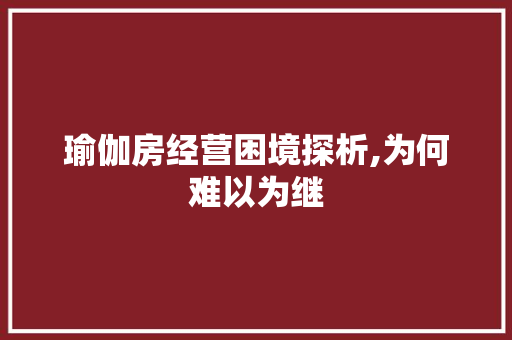 瑜伽房经营困境探析,为何难以为继