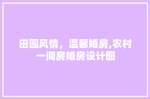 田园风情，温馨婚房,农村一间房婚房设计图
