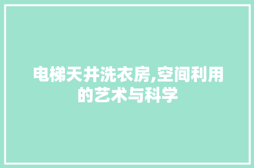 电梯天井洗衣房,空间利用的艺术与科学