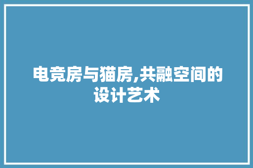 电竞房与猫房,共融空间的设计艺术