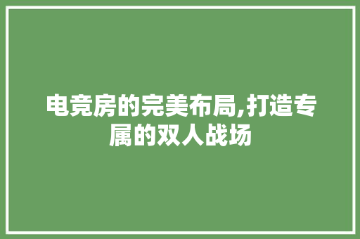 电竞房的完美布局,打造专属的双人战场