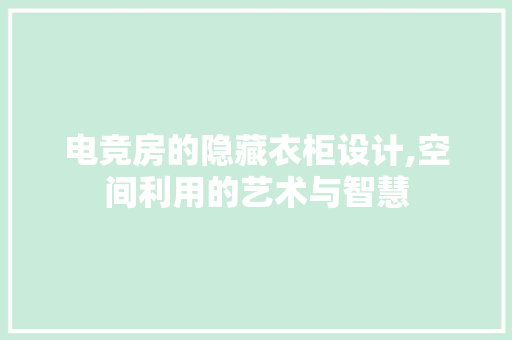 电竞房的隐藏衣柜设计,空间利用的艺术与智慧
