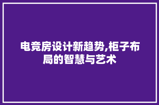 电竞房设计新趋势,柜子布局的智慧与艺术