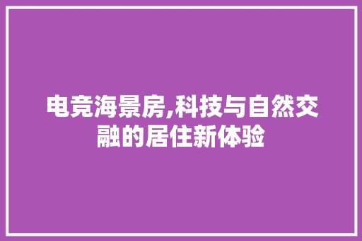 电竞海景房,科技与自然交融的居住新体验