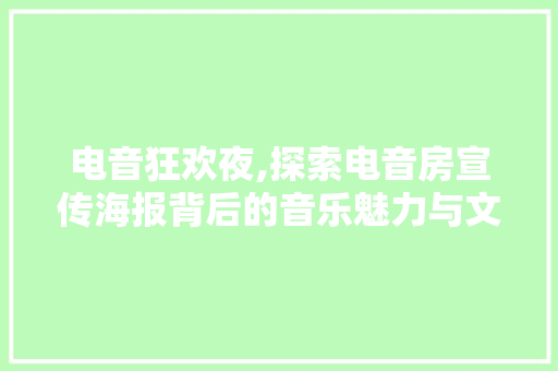 电音狂欢夜,探索电音房宣传海报背后的音乐魅力与文化潮流