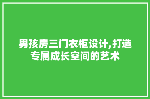 男孩房三门衣柜设计,打造专属成长空间的艺术