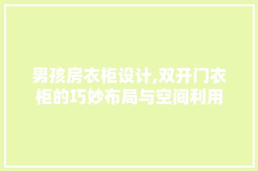 男孩房衣柜设计,双开门衣柜的巧妙布局与空间利用